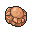 Fossile Crâne
