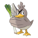 Canarticho